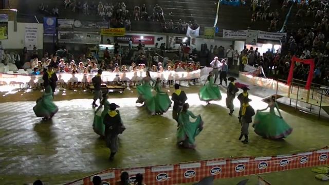 FEGAES 2011 - EEEB Poncho Verde.MOV