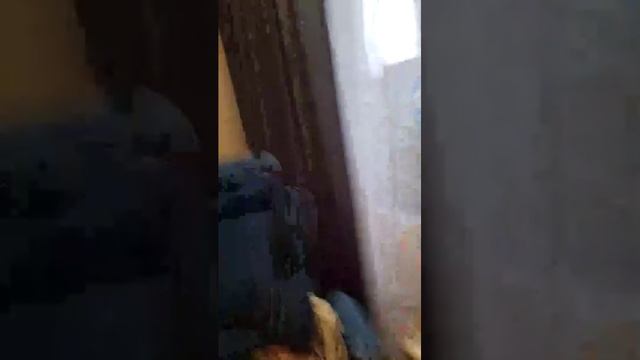 Лол