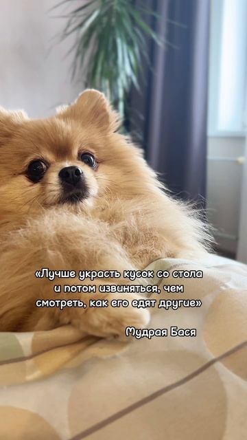 Запомните этот совет!
