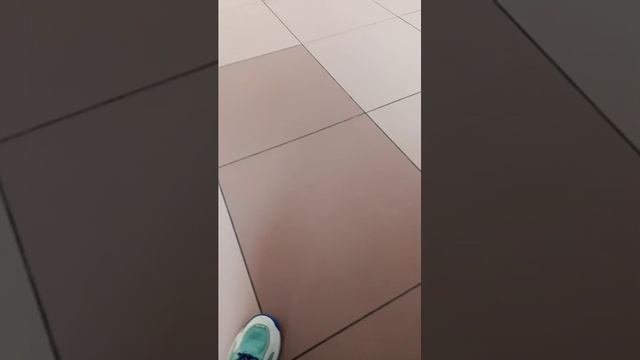 короче мы в шкиле