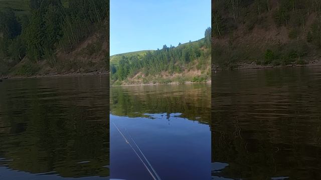 Вперёд на рыбалку