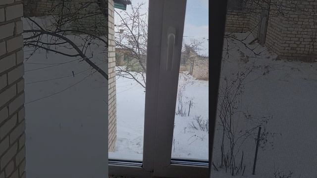 занавески