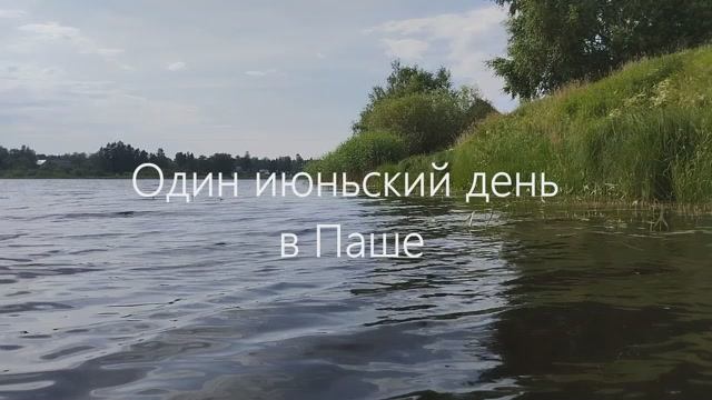 Один июньский день в Паше. 28.06.2023 г.