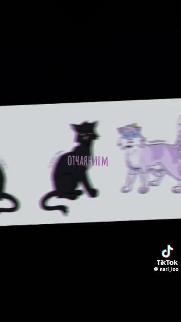 Начался новый цикл: