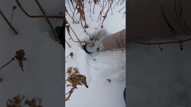 1000066739.mp4