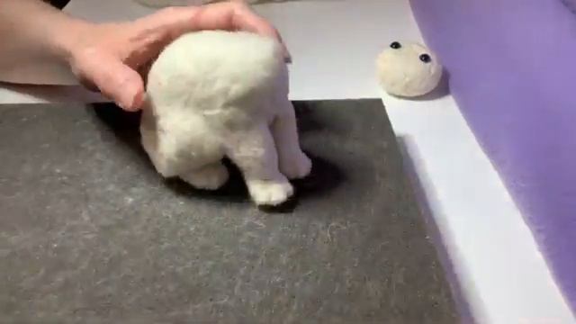 Котёнок.