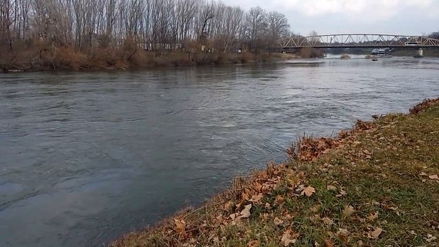 Река Велика Морава - Ћуприја 02.03.2025