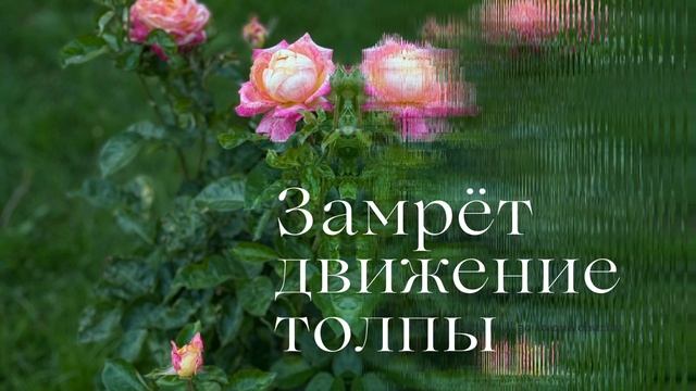 Замрёт движение толпы✨