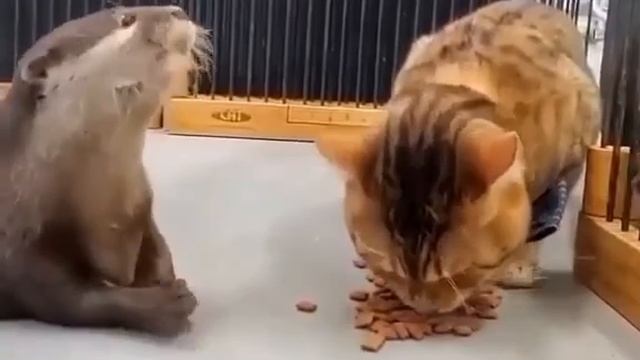 1000075470.mp4