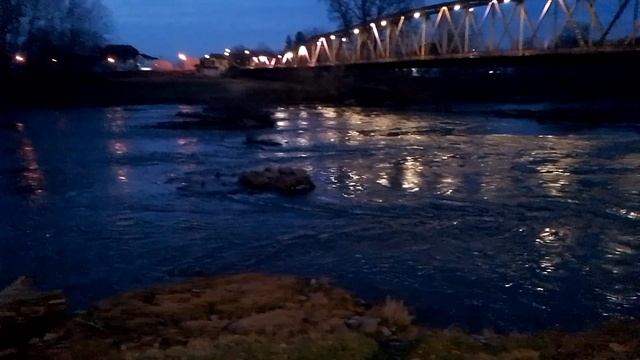 Река Велика Морава - Ћуприја 01.03.2025