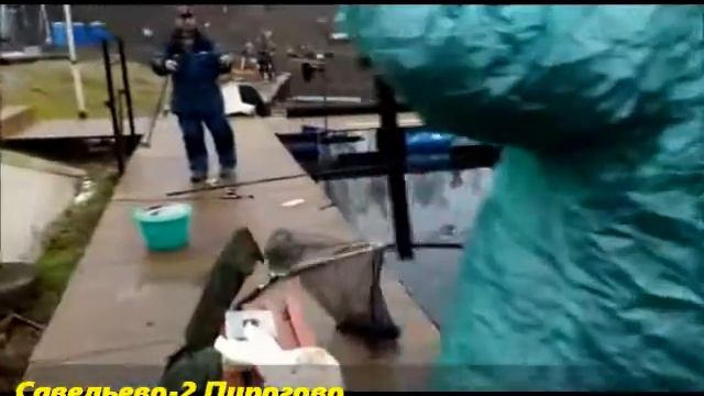 20 ноября утро Савельево-2 Пирогово