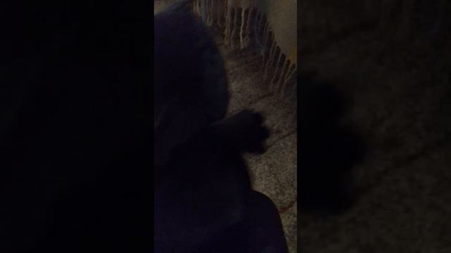 Раскрываю игрушку из акции Магнита