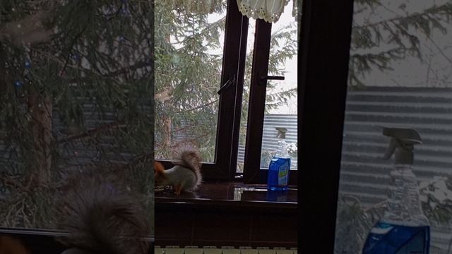Можно заходить