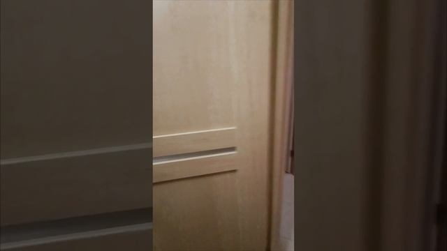 Аренда Мира 24