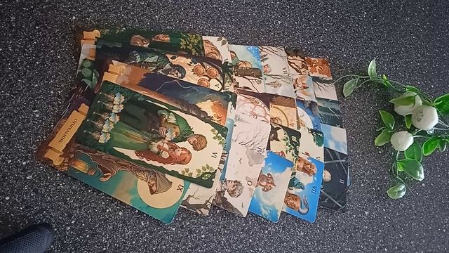 VID_20250305_113218.mp4