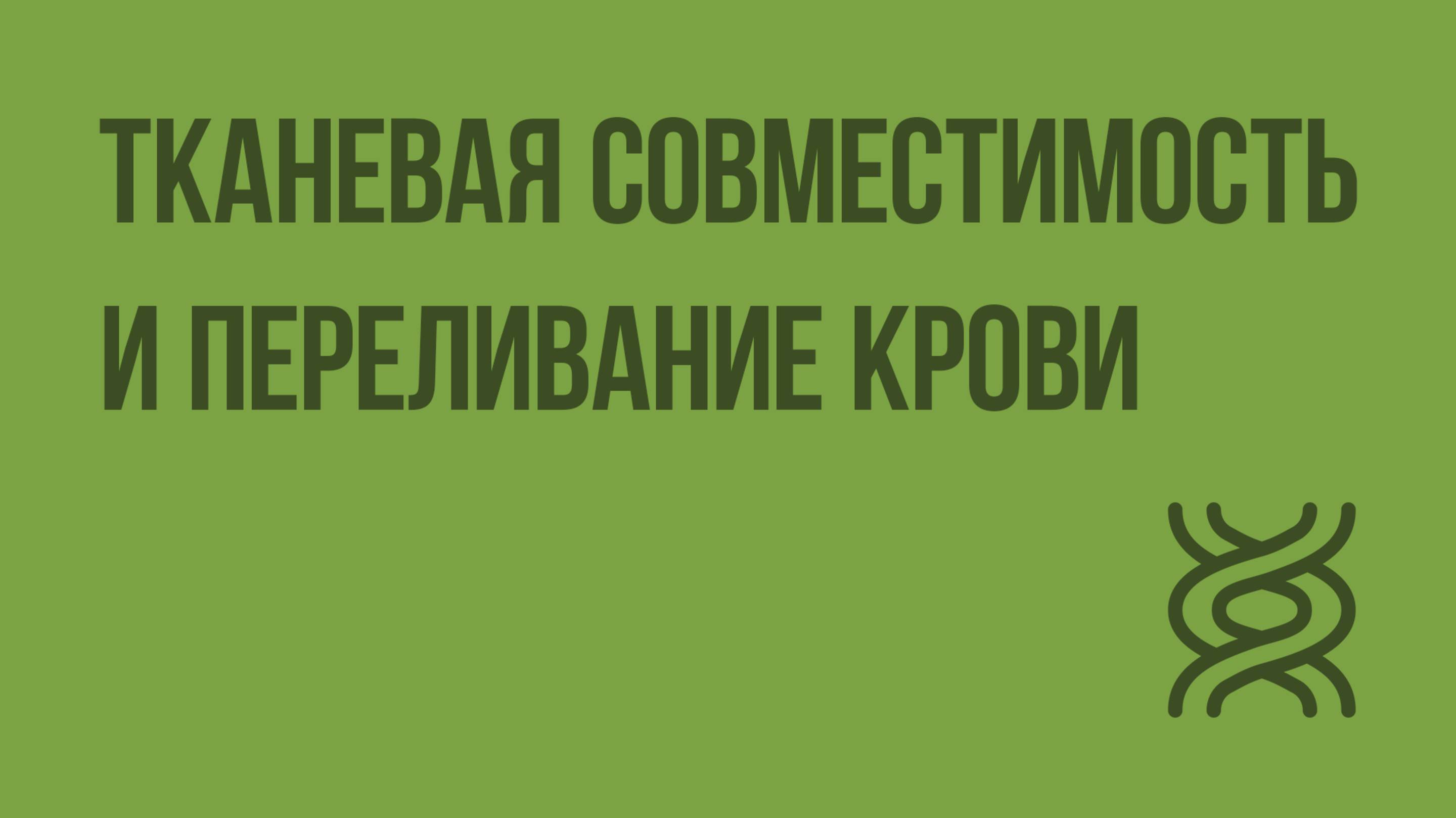 Тканевая совместимость и переливание крови. Видеоурок по биологии 8 класс