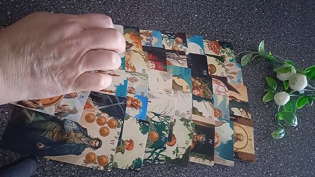 VID_20250305_114147.mp4