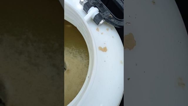 Самодельный фильтр для пруда из бочки