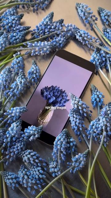 navoiflowers.ru