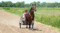 Zhorga Zharys – Nomadic heritage