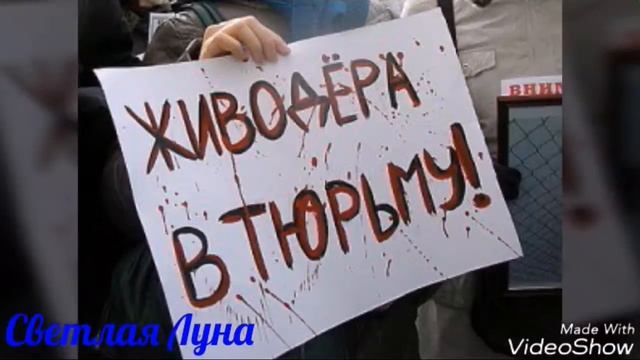 Хабаровских Живадёрок за решётку!!!