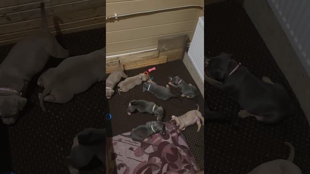 1000137545.mp4