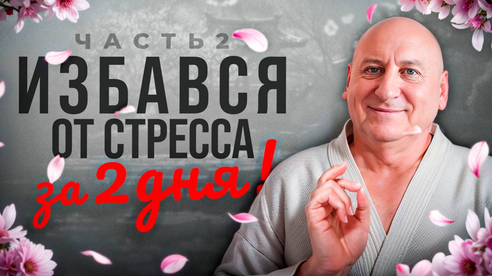 ИЗБАВЛЯЕМСЯ от СТРЕССА и ТРЕВОГИ за 2 ДНЯ! | Путь к гармонии в семье и жизни. Часть 2