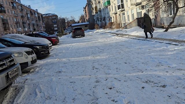 5 марта 2025г., опять зима-снег выпал