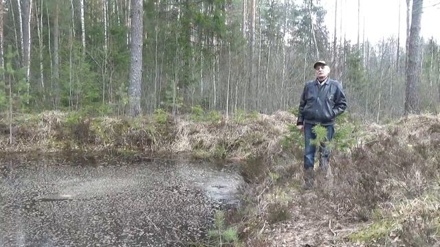 Видеопривет из леса у Трех Оленей москвичкам.