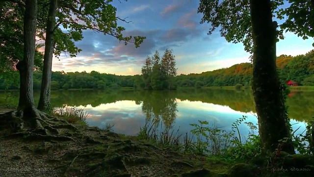 Александр Старостенко.Сердце.