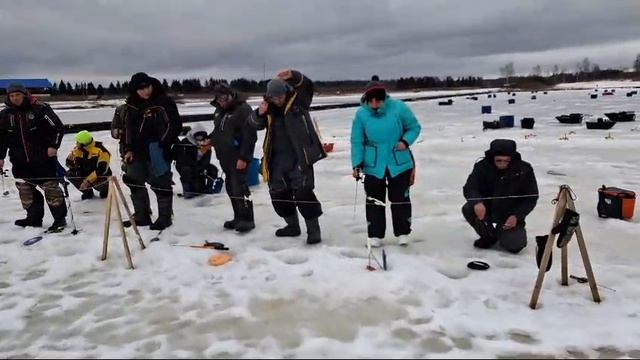 Запуск форели в акваторию 75 кг !!!