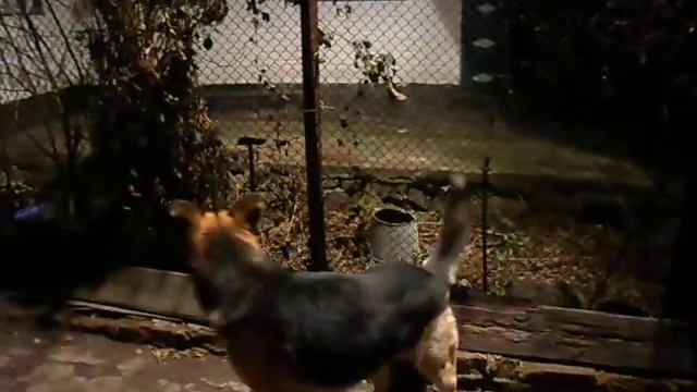 Игра ниткой