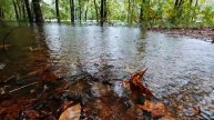 Бесконечный осенний дождь крупным планом. Опавшие листья в воде. Лесная идиллия.