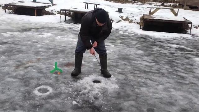 Светлые Горы Форель2 05.03.2025г.