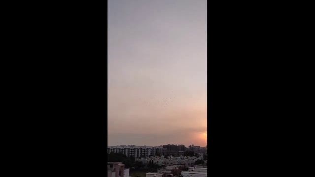 Твои любимые триггеры ASMR 🎤✨
