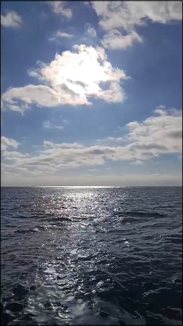 Морская прогулка