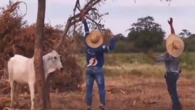 1000075480.mp4