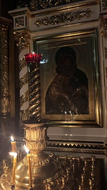 Смотреть видео онлайн