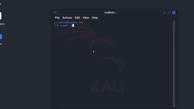 ОБЗОР KALI LINUX 2024.1. ЧТО ИЗМЕНИЛОСЬ?