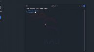 ОБЗОР KALI LINUX 2024.1. ЧТО ИЗМЕНИЛОСЬ?