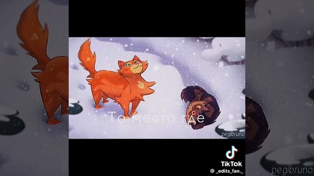 Самые уютные коты-воители