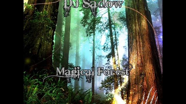 DJ Sadow - Magical Forest