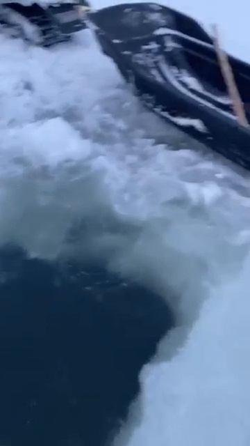 Зимнее зарыбление водоема

Повезет же кому-то такую мамку выловить