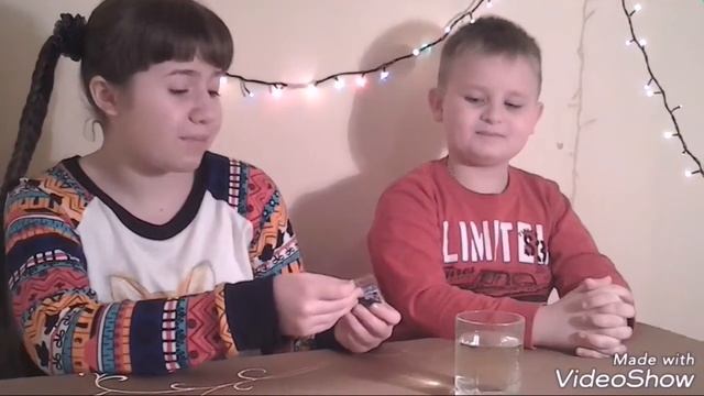 Что будет, если орбизы вырастить в БЕЛИЗНЕ? + ГОСТЬ