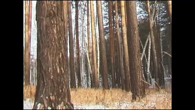 3. Фредерик Шопен. Ноктюрн №2 (видео - Южный Урал)