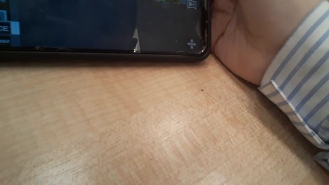 Немного моей жизни в школе