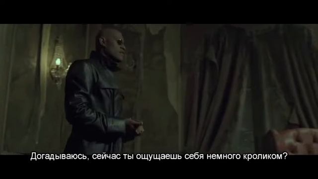 [YTP] Матрица: Дозагрузка (rus sub)