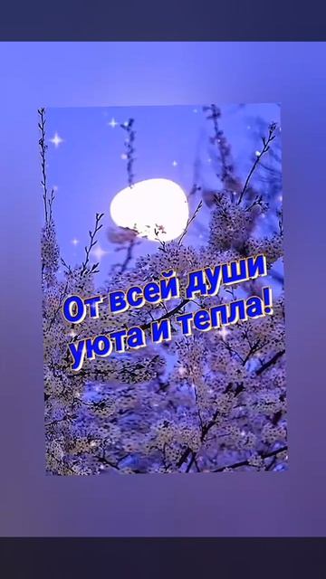 добрый вечер