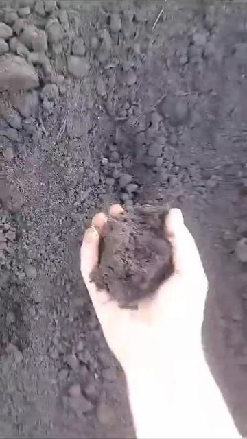 Плодородный грунт в Калининграде
