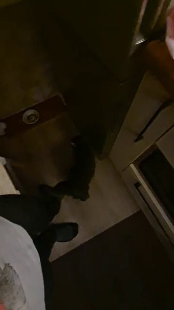 кухня в ночи